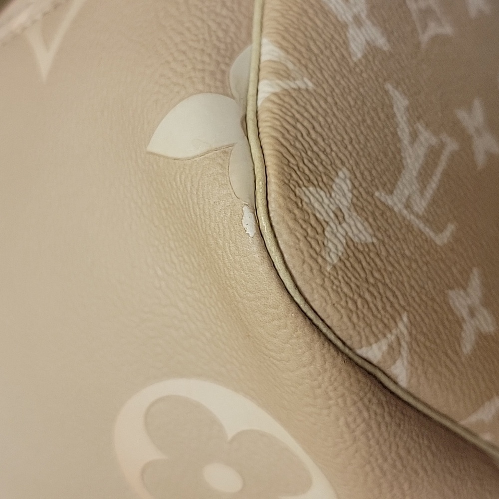 Louis Vuitton Spring In The City Neverfull MM - Picture 13 of 14